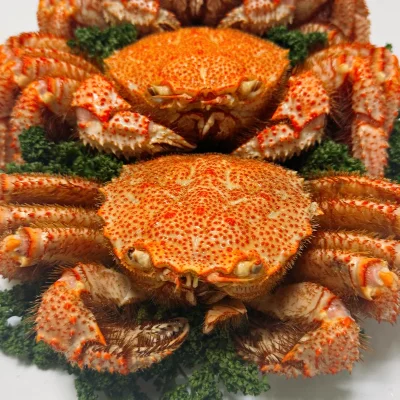 러시아 자숙 털게 1마리 1kg